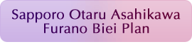 Sapporo Otaru Asahikawa Furano Biei Plan