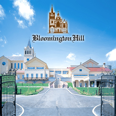 Bloomington Hill